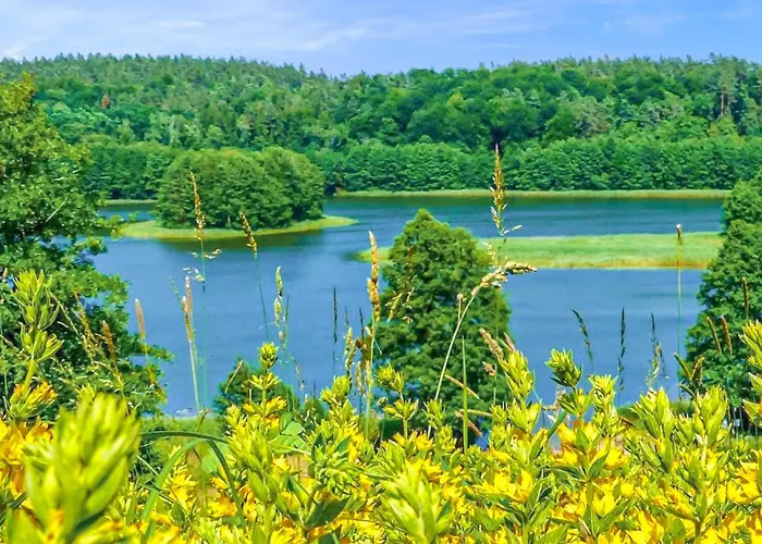 1 Bedroom Stunning In Woryty Gietrzwałd